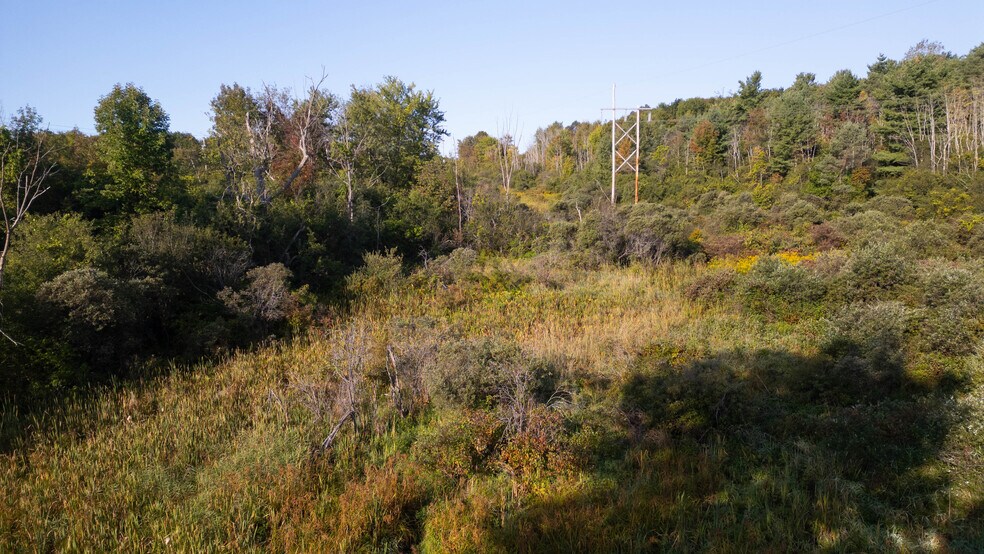 More Photos Of 219 Mudge rd, Delanson Land For Sale