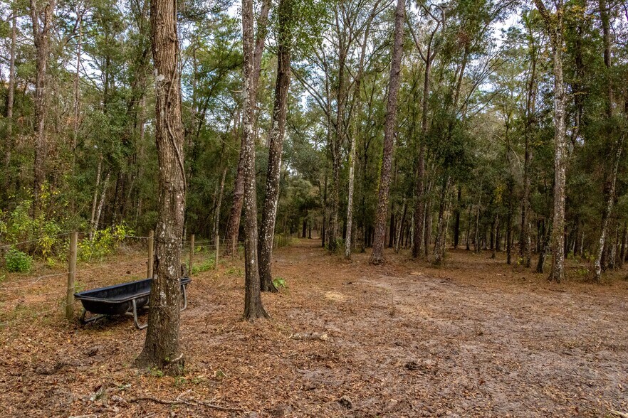 More Photos Of 24091 Richbarn Rd, Brooksville Land For Sale