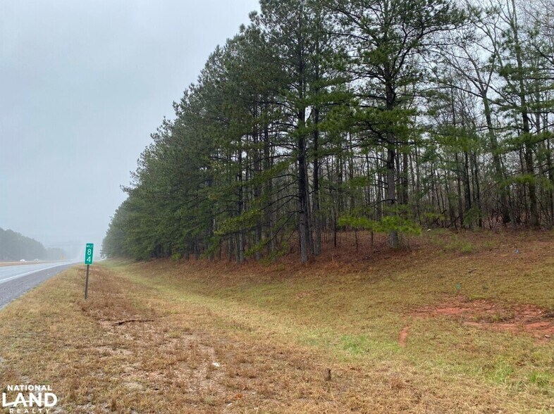More Photos Of 0 Highway 280, Dadeville Land For Sale