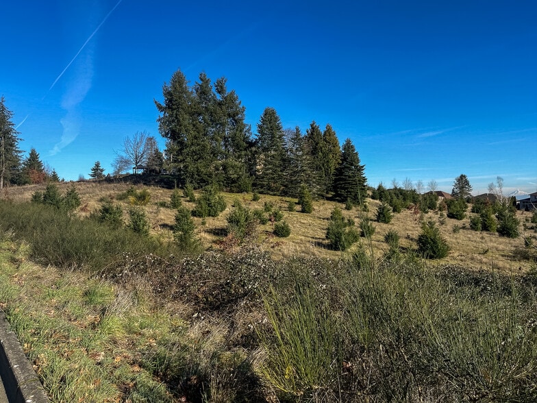 More Photos Of 1712 Doaks Ferry Rd NW, Salem Land For Sale