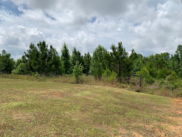 More Photos Of 15414 Old Highway 5 S, Grove Hill Land For Sale