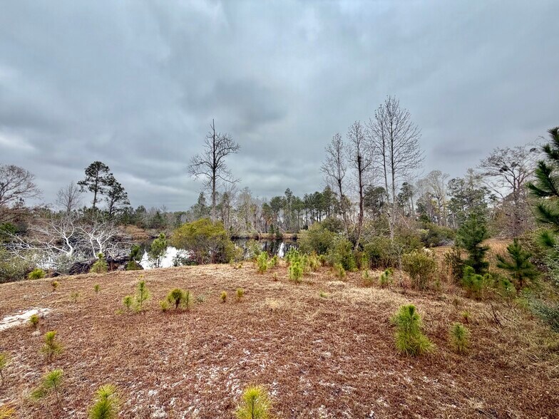 More Photos Of 479 Altamaha Rd, Hazlehurst Land For Sale