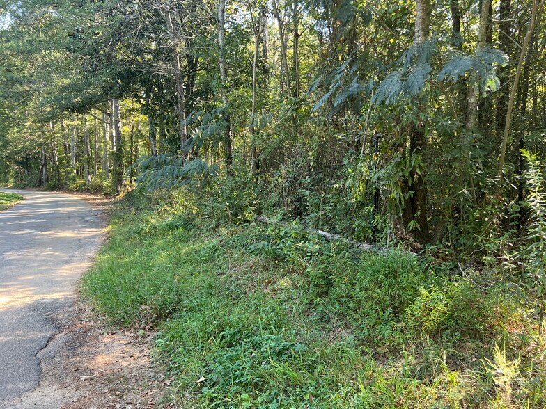 More Photos Of 124 S Kelley St, Tallapoosa Land For Sale