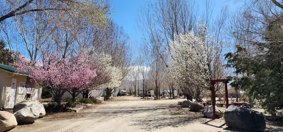 More Photos Of 7990 Highway 264, Dyer Trailer Camper Park For Sale