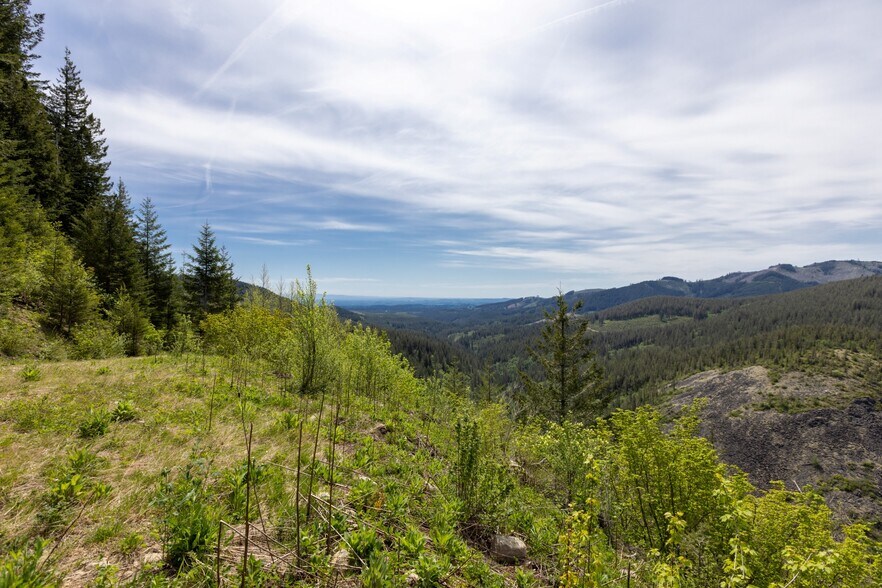 More Photos Of 0 Snag Mountain Road, Washougal Land For Sale