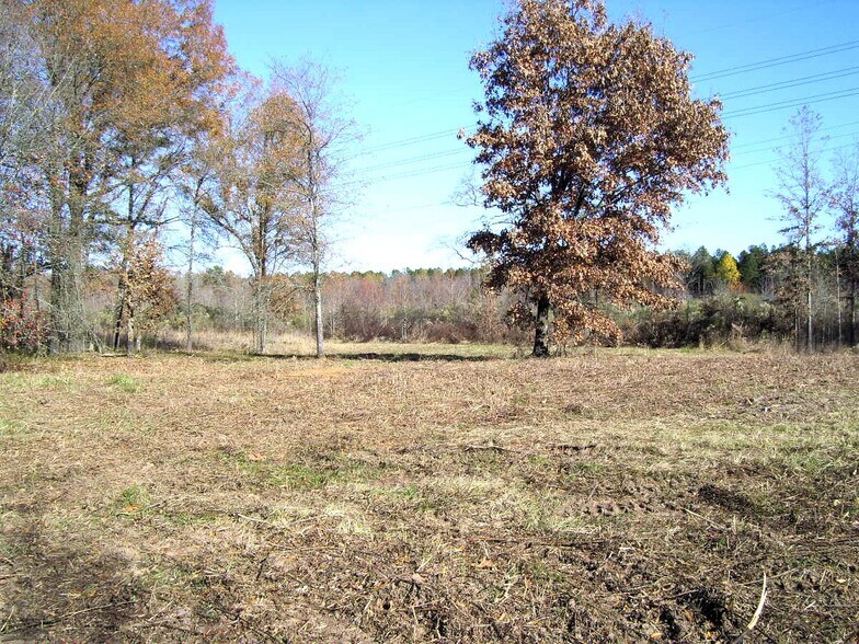 More Photos Of 680 U. S. 71 Hwy, Ashdown Land For Sale