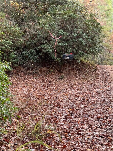More Photos Of Whitecliff Drive, Ellijay Land For Sale