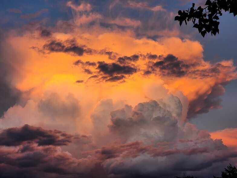 More Photos Of 7990 Highway 264, Dyer Trailer Camper Park For Sale