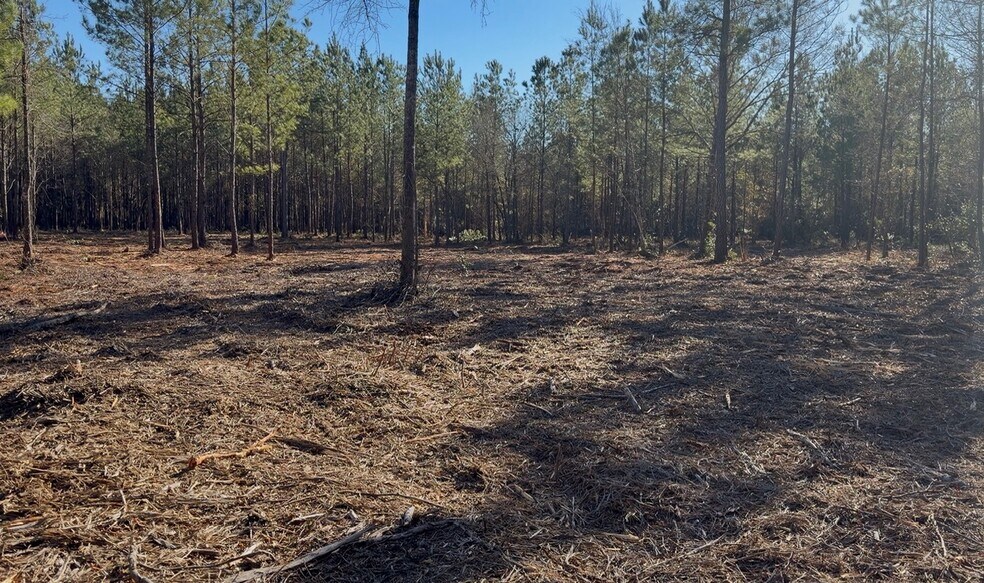 More Photos Of 319 - 547 Sisters Ferry Road, Ridgeland Land For Sale