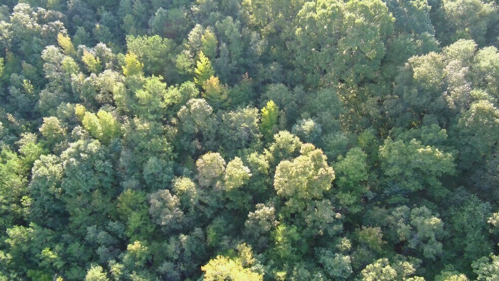 More Photos Of 1501 Ashland Highway, Talladega Land For Sale