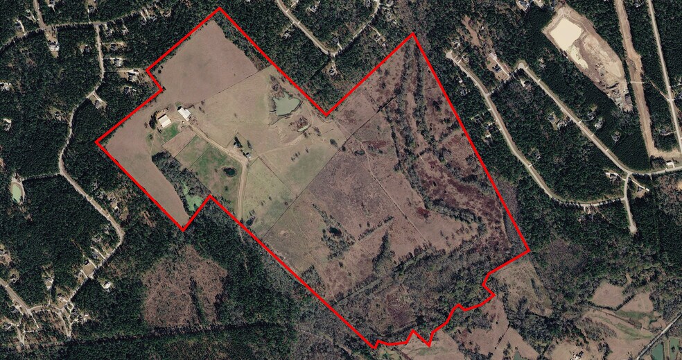 Primary Photo Of 44 Bucking Bull Rd, New Waverly Land For Sale