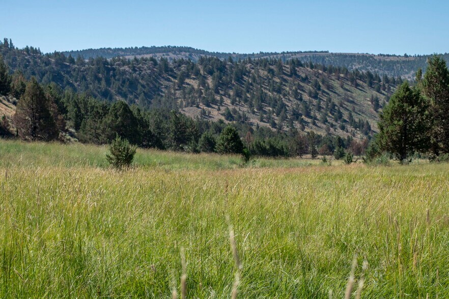 More Photos Of 32611 Tackman Rd, Prineville Land For Sale