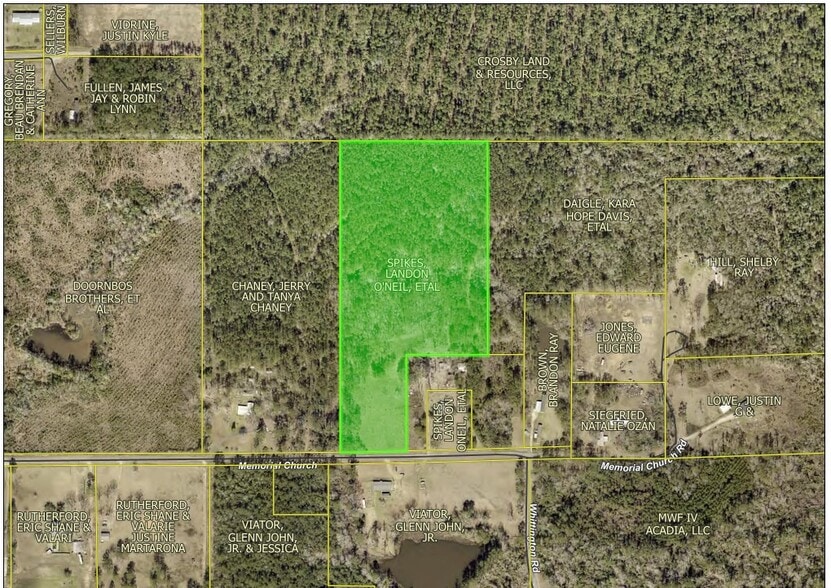 Primary Photo Of TBD Memorial Church rd, Longville Land For Sale