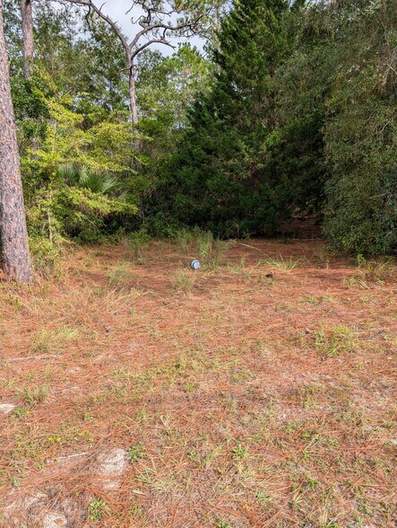 More Photos Of 9115 S Suncoast Blvd, Homosassa Land For Sale