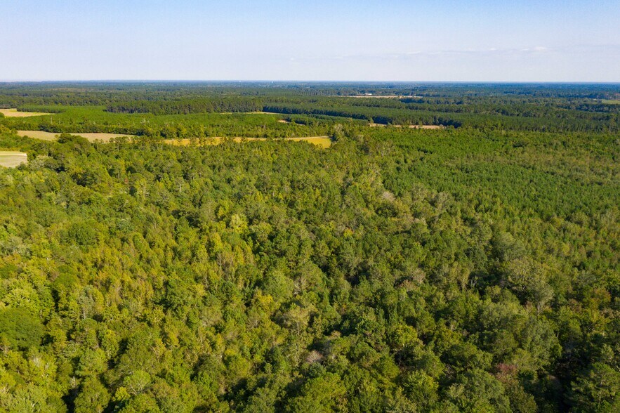 More Photos Of 0 Half Acre Ct, Vance Land For Sale