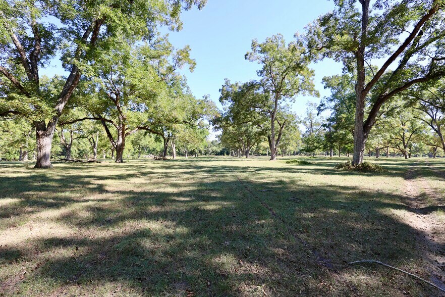 More Photos Of 20th Street @ Hwy 188, Cairo Land For Sale