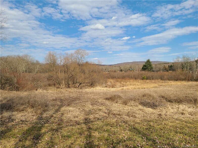 More Photos Of Rt. 52, White Sulphur Springs Land For Sale