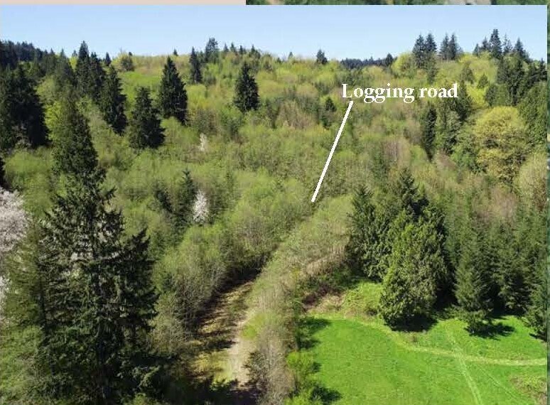 More Photos Of 0 Carlon Loop Rd, Longview Land For Sale
