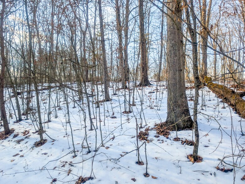 More Photos Of ,  Land For Sale