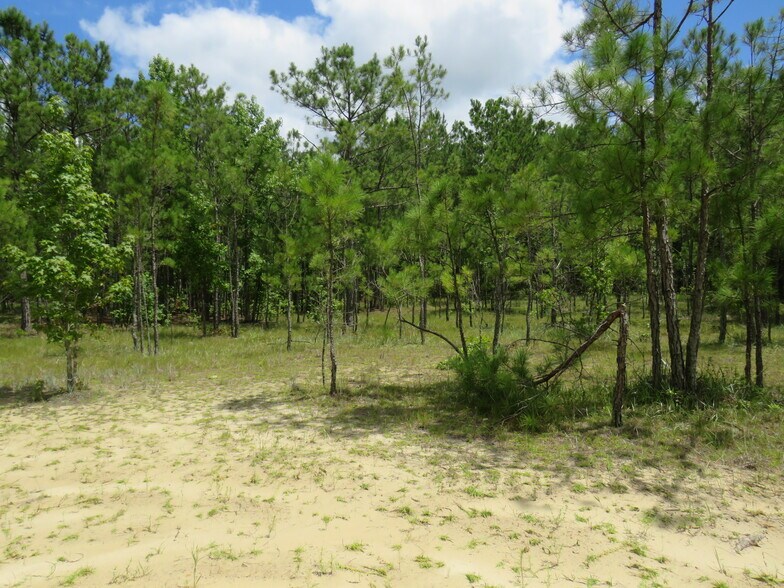 More Photos Of EVA. RD,, Little River Land For Sale