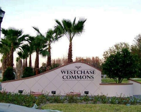 More Photos Of 13035 W Linebaugh Ave, Tampa Office For Lease