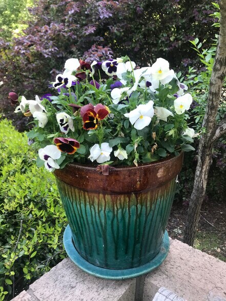 More Photos Of 976 Martin Luther King Jr Blvd, Chapel Hill Loft Creative Space For Lease