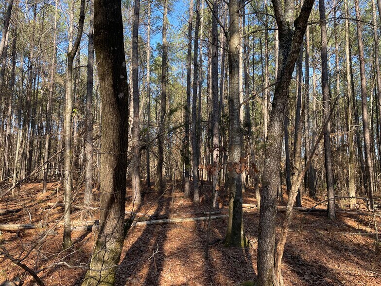 More Photos Of 0 S. Hwy 81, Covington Land For Sale