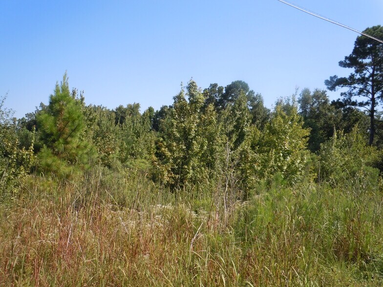 Primary Photo Of Near 10700 Andrew Jackson Highway, Fair Bluff Land For Sale