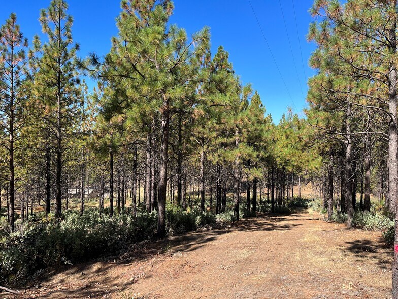 More Photos Of 7559 Alamo Rd, Mountain Ranch Land For Sale