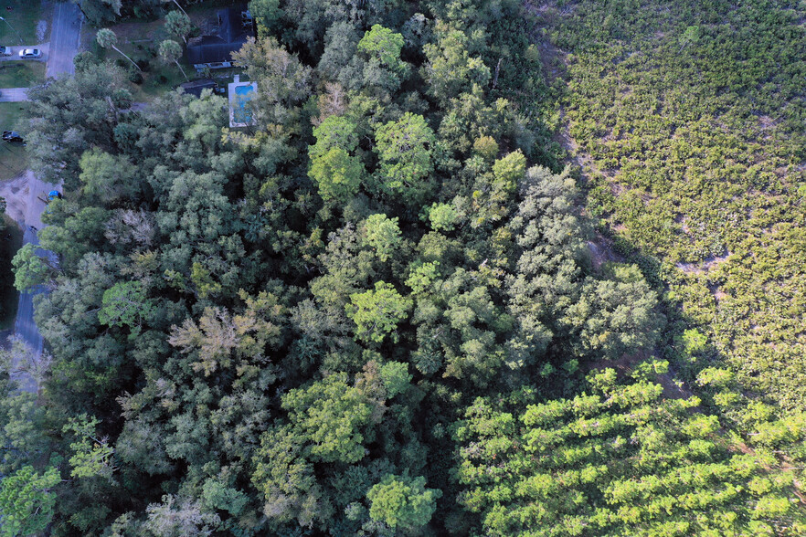 Primary Photo Of Paradise, Deland Land For Sale