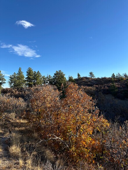 Primary Photo Of 4040 Bell Mountain Dr, Castle Rock Land For Sale