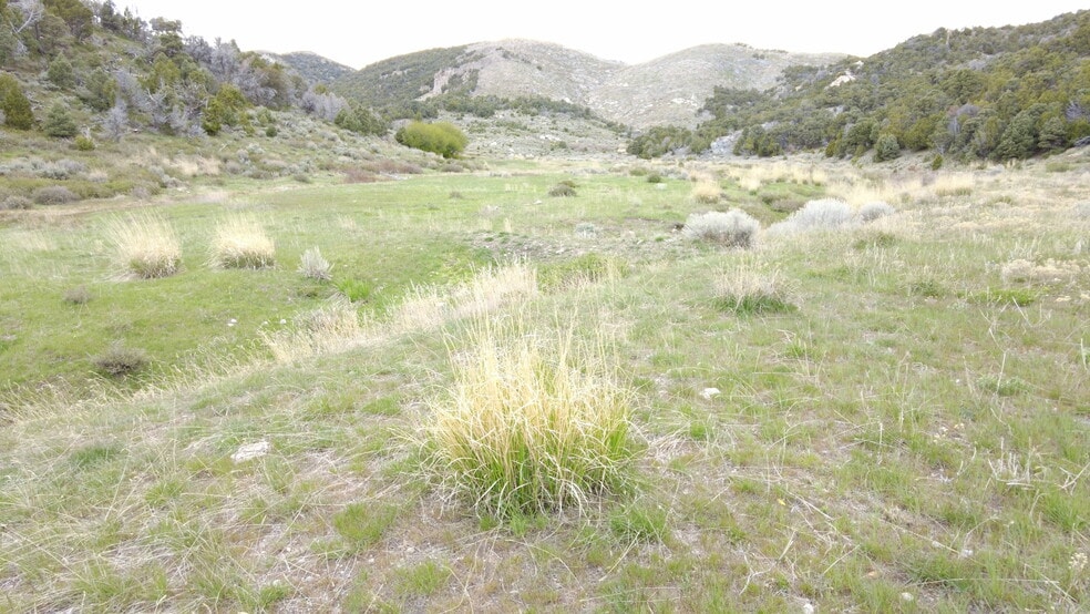 Primary Photo Of Clear Springs Rd., Park Valley Land For Sale