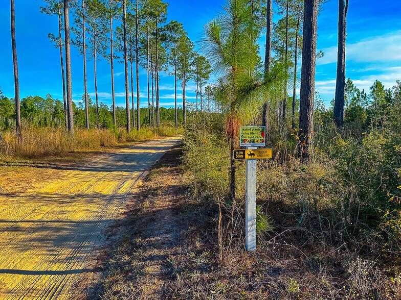 More Photos Of 7009 Creek Stone Rd, Milton Lodge Meeting Hall For Sale