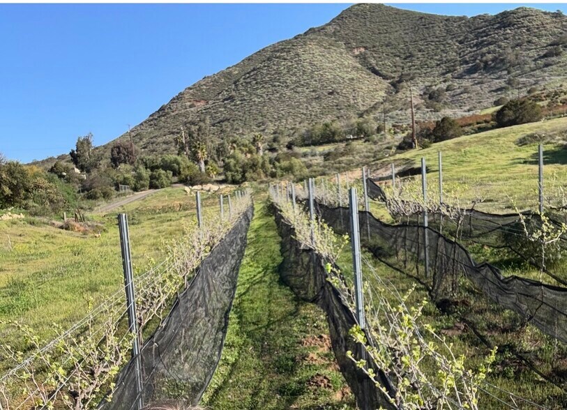 More Photos Of 12028 Keys Creek Rd, Valley Center Land For Sale