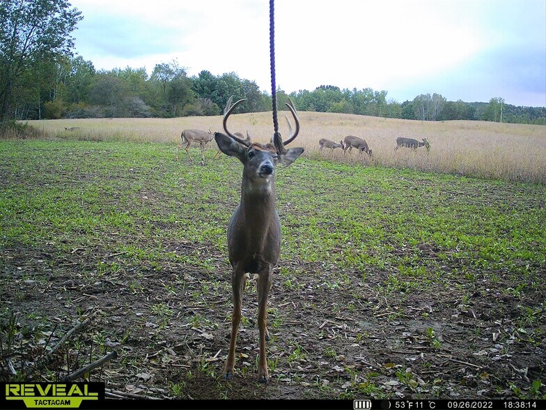 More Photos Of Fisher Road, Iola Land For Sale