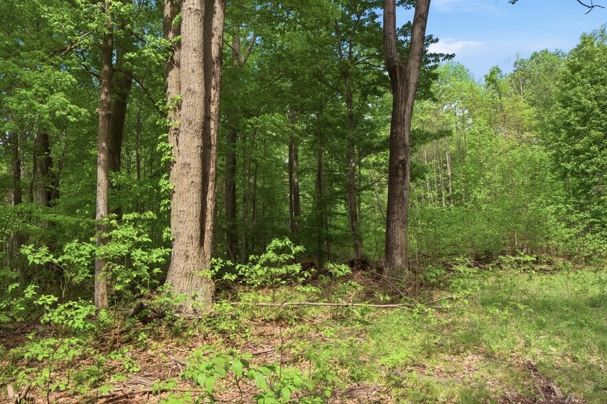 More Photos Of 0 Red Arrow Highway, Lakeside Land For Sale
