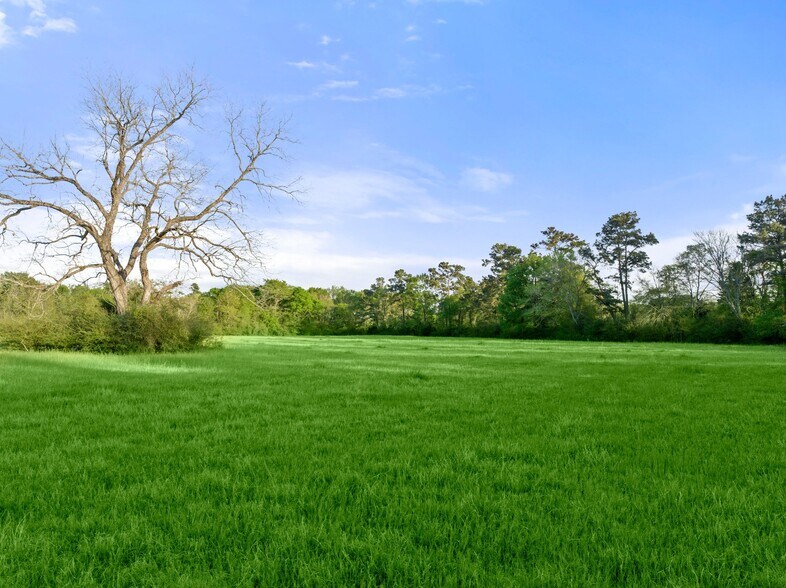 More Photos Of 0000 Farm to Market Road 1488, Magnolia Land For Sale