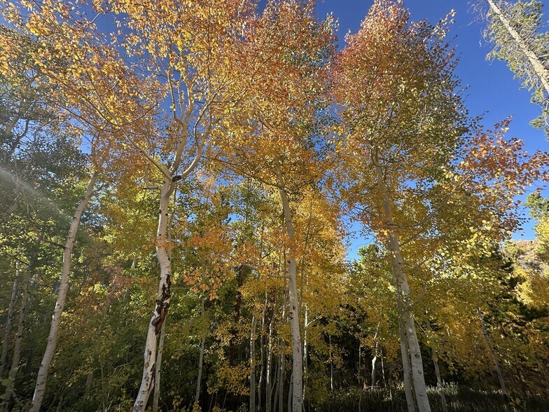 More Photos Of 1124 State Highway 11, Laramie Specialty For Sale