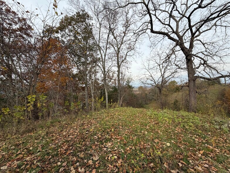 More Photos Of 23765 Charleston Rd, Leon Land For Sale