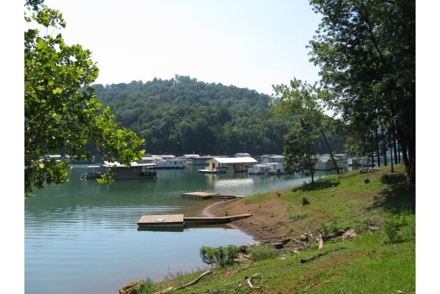 More Photos Of 680 Blue Springs Rd, Speedwell Marina For Sale