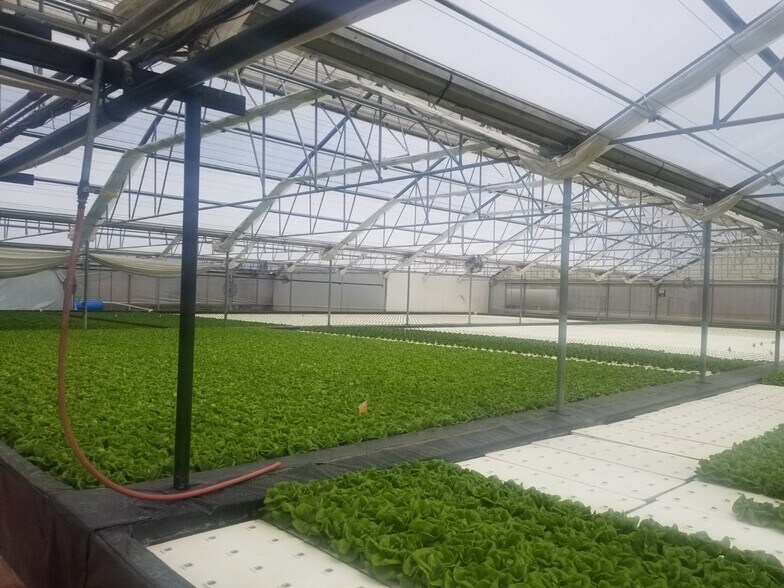 More Photos Of 4525 Cloverdale Rd, Pescadero Land For Sale