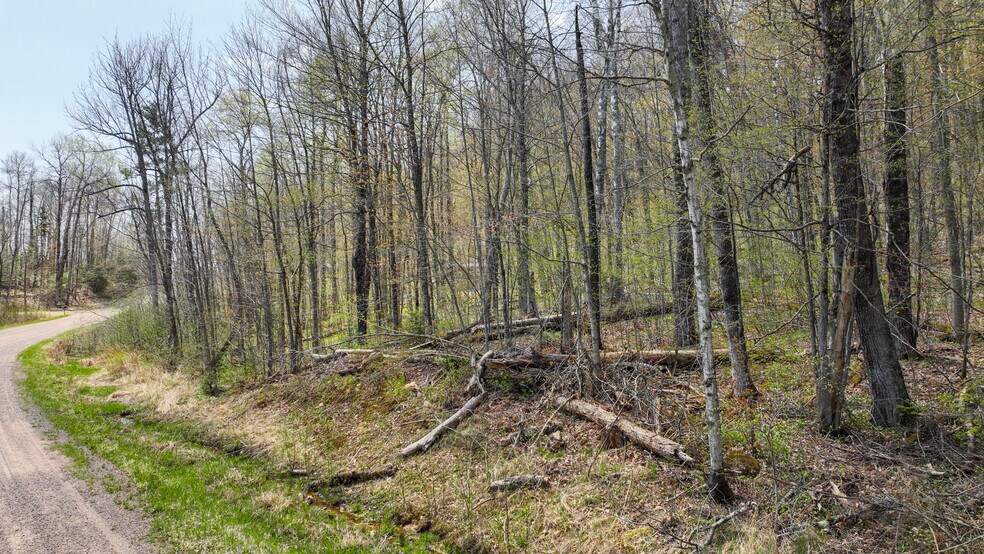 Primary Photo Of N Gueldner Lane, Exeland Land For Sale