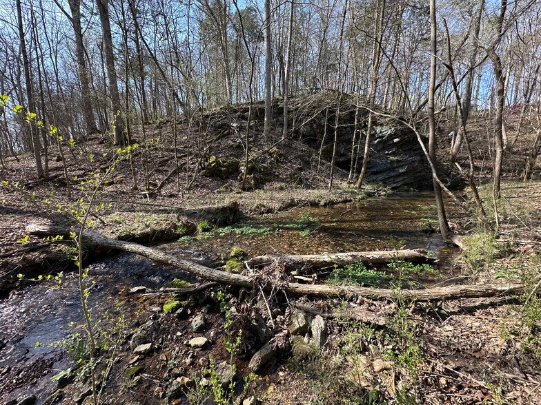 More Photos Of 7312 Highway 60, Georgetown Land For Sale