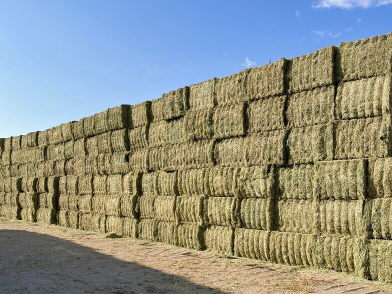 More Photos Of 425-940 Constantia Rd, Doyle Land For Sale