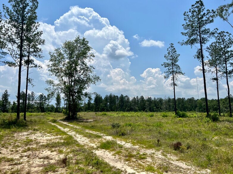 More Photos Of County Road 64, Robertsdale Land For Sale