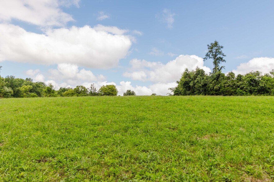 More Photos Of 7438 Bagdad Rd, Bagdad Land For Sale