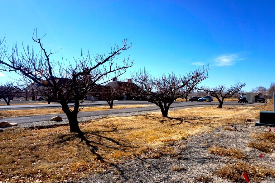 More Photos Of 602 Elberta ave, Palisade Land For Sale