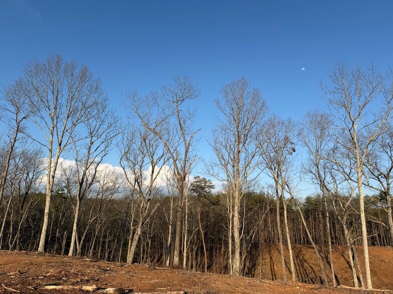 More Photos Of 260 Arnold Rd NE, Fairmount Land For Sale