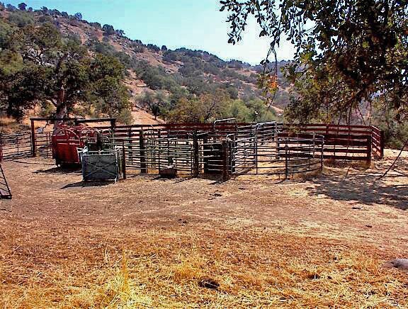 More Photos Of 38176 Cardinal, Yokuts Valley Land For Sale