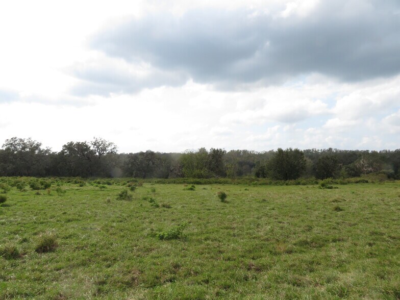 More Photos Of 14451 Curley Rd, Dade City Land For Sale
